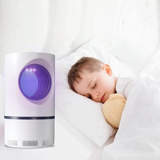 Ciche i bezpieczne usuwanie owadów