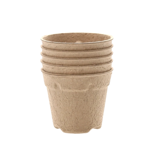 W 100% biodegradowalne