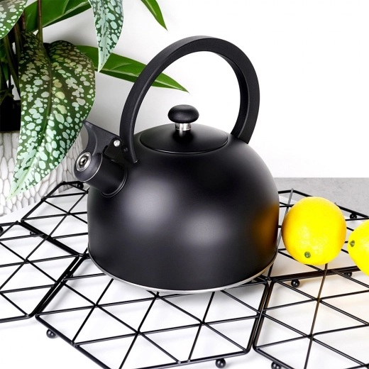 Stylowy matowy design