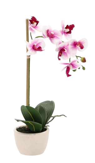 Naturalnie realistyczne kwiaty i liście