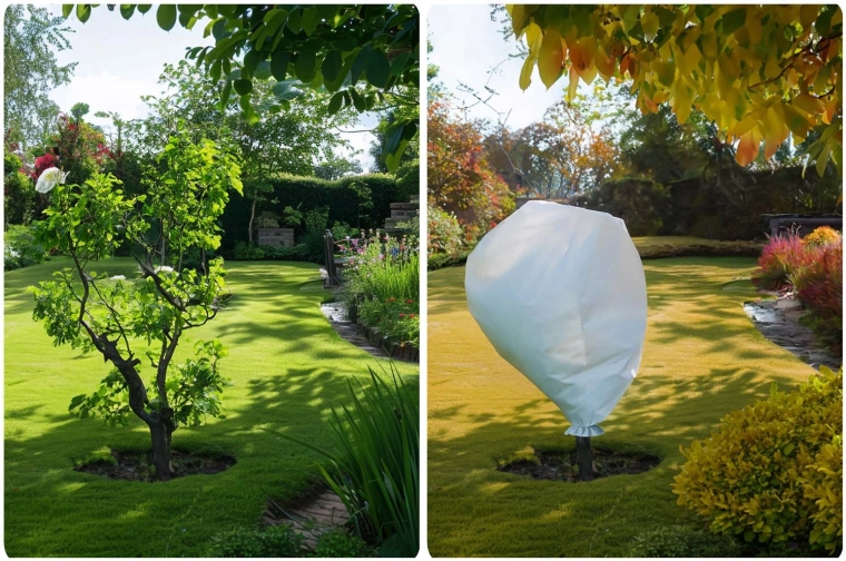Łatwe okrywanie drzewek i grządek