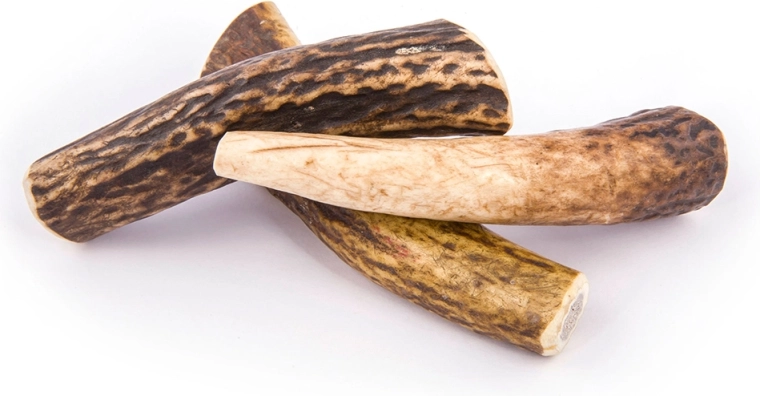 Długotrwałe żucie bez zapachu