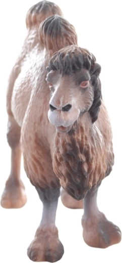 Trwały plastik i stabilna postawa