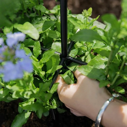 Stabilne wsparcie dla obfitego kwitnienia