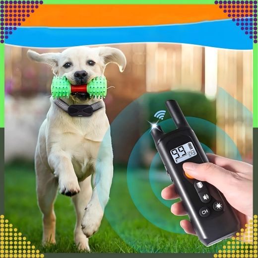 Zasięg do 800 m dla niezawodnego treningu