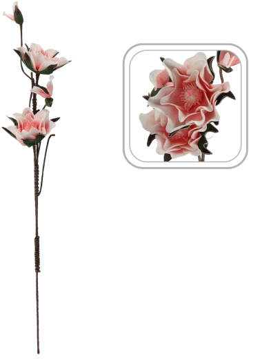 Realistyczne kwiaty magnolii