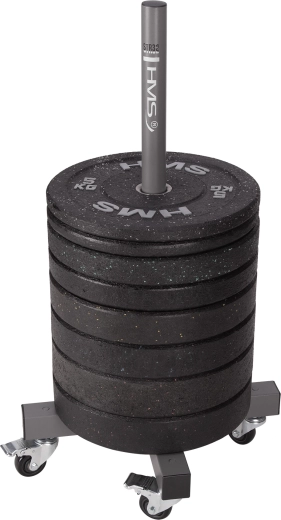 Pionowe przechowywanie talerzy olimpijskich 50 mm