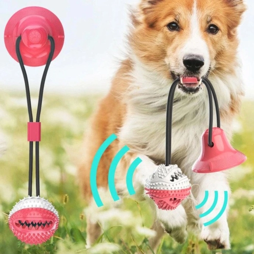 Zdrowe zęby i dziąsła podczas każdej zabawy