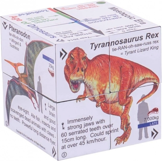 Kostka edukacyjna Zoobookoo Dinozaury