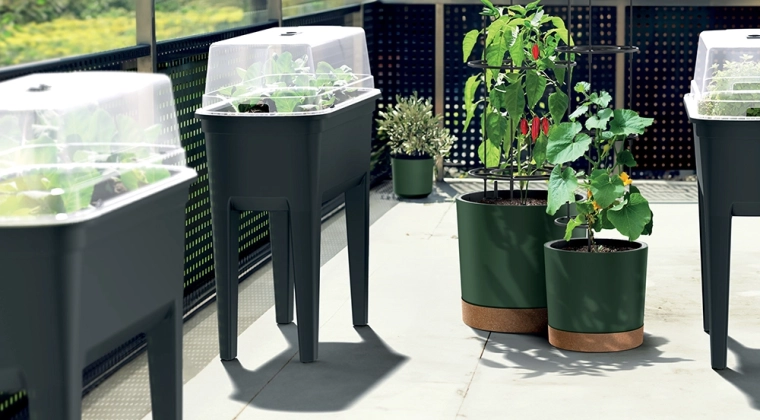 Gotowe do natychmiastowej uprawy