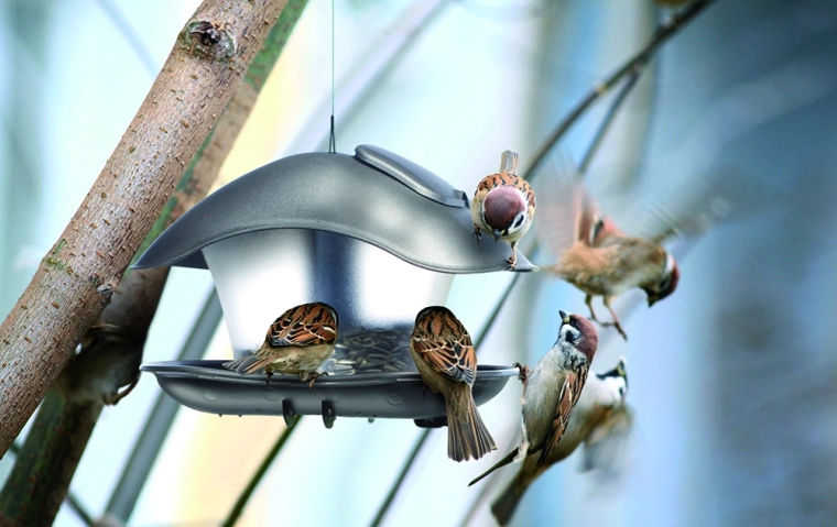 Przezroczysty pojemnik do łatwej kontroli karmy