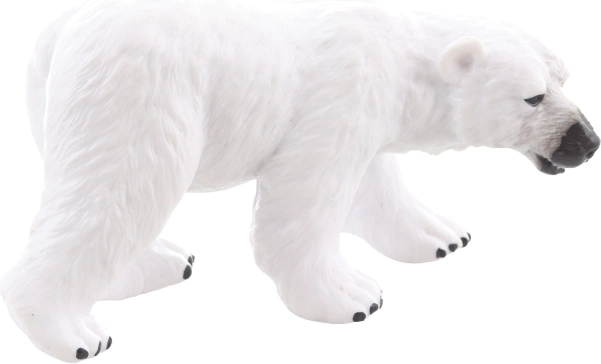 Idealna do kolekcji i na półkę