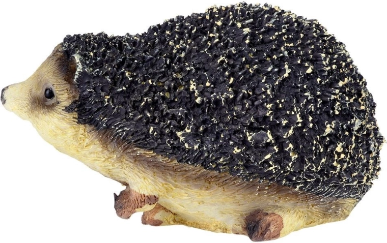 Realistyczne detale i żywe kolory