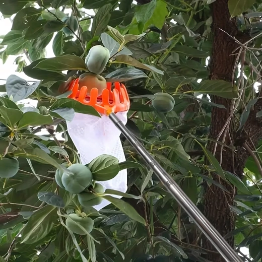 Delikatna plastikowa korona i głęboki worek