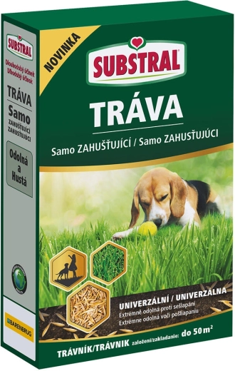 Samozagęszczająca się mieszanka traw EVERGREEN 1 kg