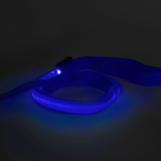 LED smycz z akumulatorem, 120 × 2,5 cm, niebieska