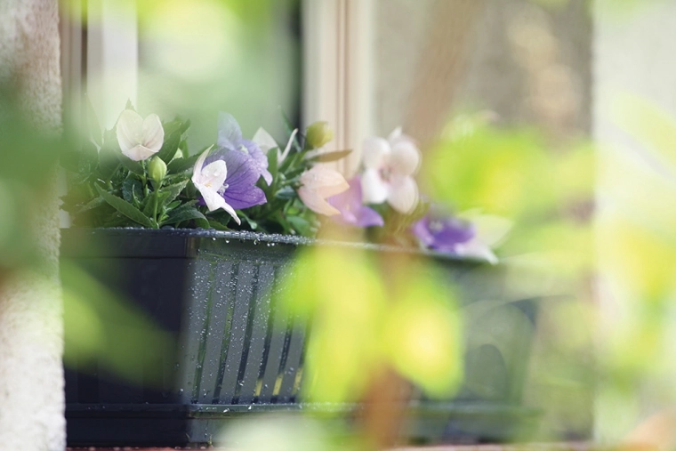 Idealna do ziół i roślin kwitnących