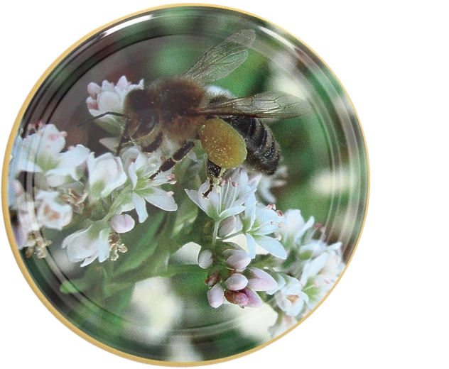 Zestaw wieczek Twist-off 82 mm z motywem pszczoły – 10 szt.