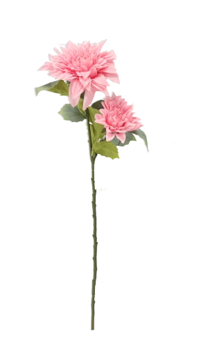 Idealna wysokość 60 cm