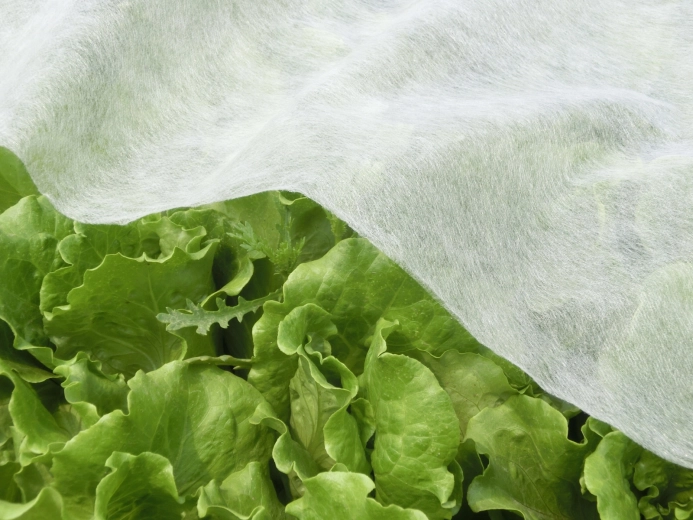 Oddychająca struktura dla zdrowego wzrostu