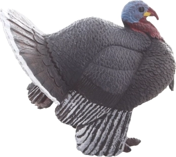 Kompaktowa i wytrzymała