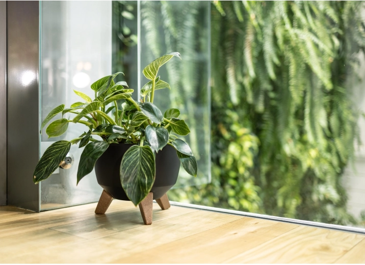 Elegancki wygląd w każdej przestrzeni