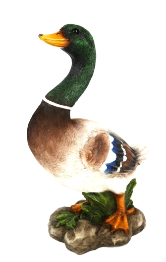 Uniwersalna dekoracja do wnętrz i na zewnątrz