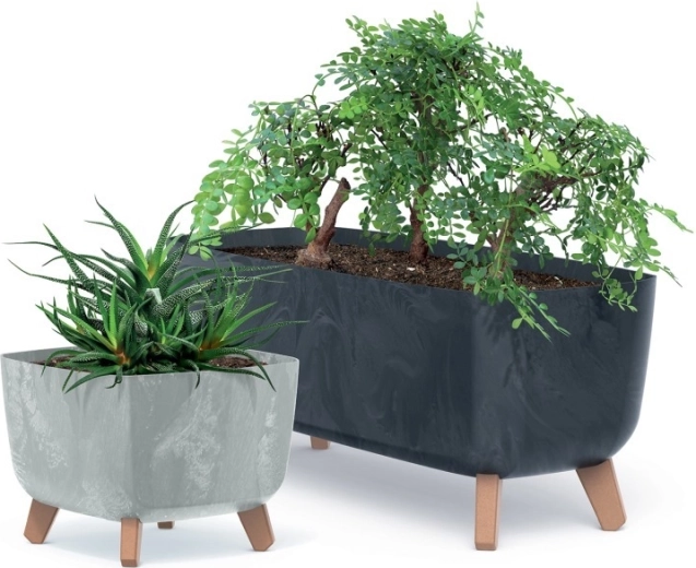 Przemyślane rozwiązanie dla zdrowych korzeni