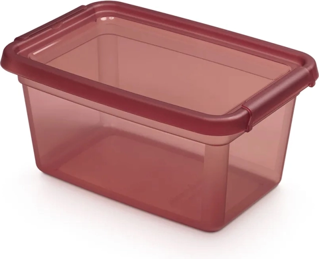 Basestore pojemnik do przechowywania z pokrywką i klipsami 4,5 l rhubarb