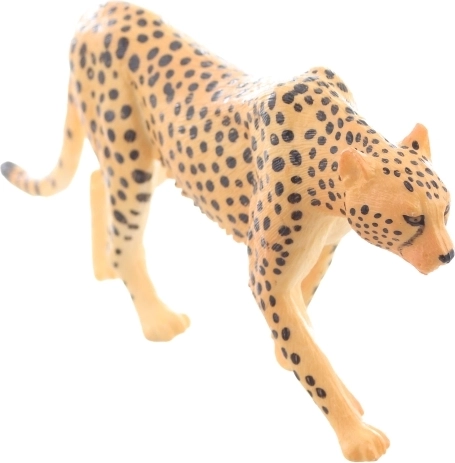 Idealna do nauki i kolekcjonowania