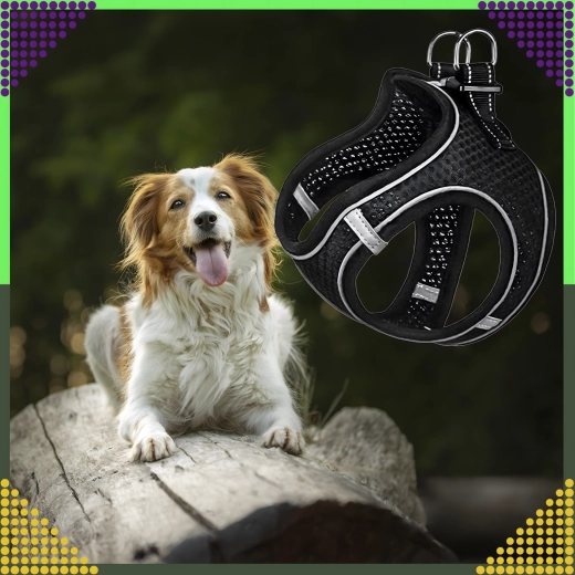 Wysoka widoczność dzięki elementom odblaskowym