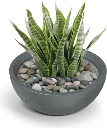 Stylowy dodatek do zieleni