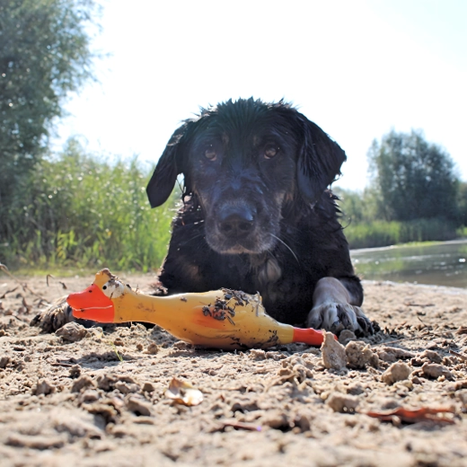 Jasny żółty kolor dla łatwego odnajdywania
