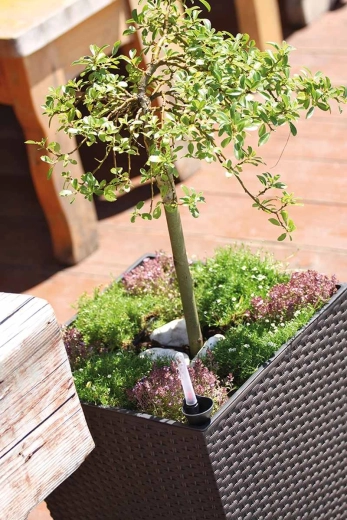 Praktyczny wewnętrzny wkład do szybkiego sadzenia