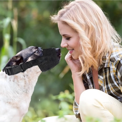 Bezpieczeństwo podczas treningu i u weterynarza