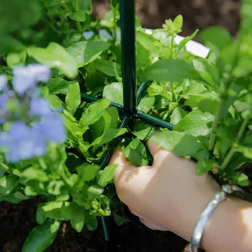 Stabilne podparcie dla zdrowego wzrostu