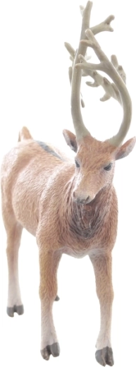 Idealny rozmiar do małej rączki