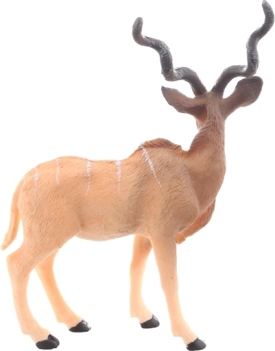 Świetne do nauki i kolekcjonowania