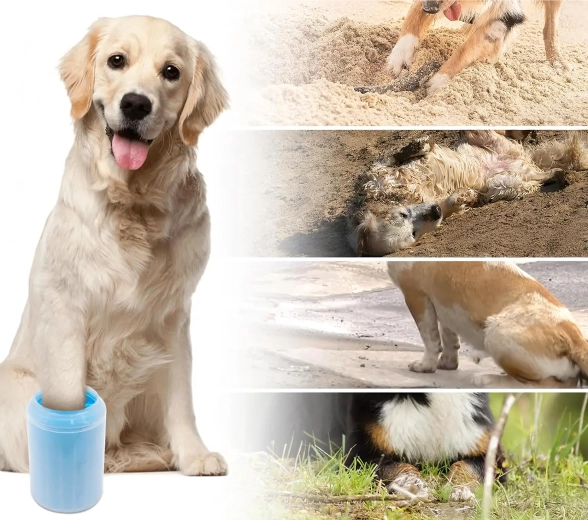 Czysty samochód i podłoga po każdym spacerze