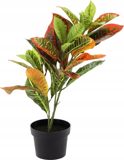 Zero pielęgnacji, maksymalny efekt