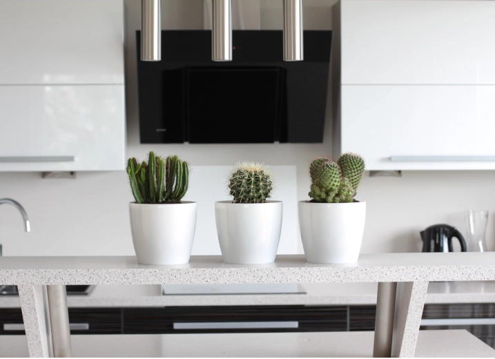 Wszechstronna do wnętrz i na zewnątrz