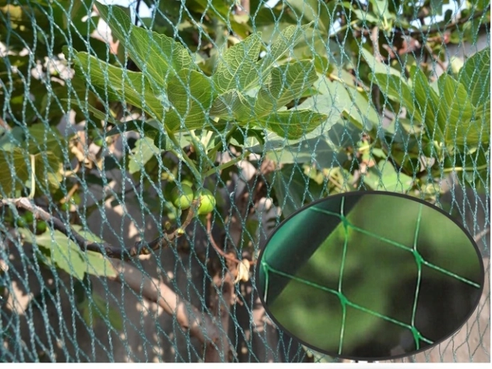 Dyskretną ochrona w zielonym kolorze