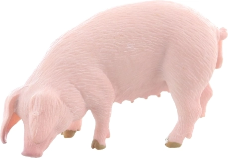 Wytrzymały plastik i bezpieczne wykonanie