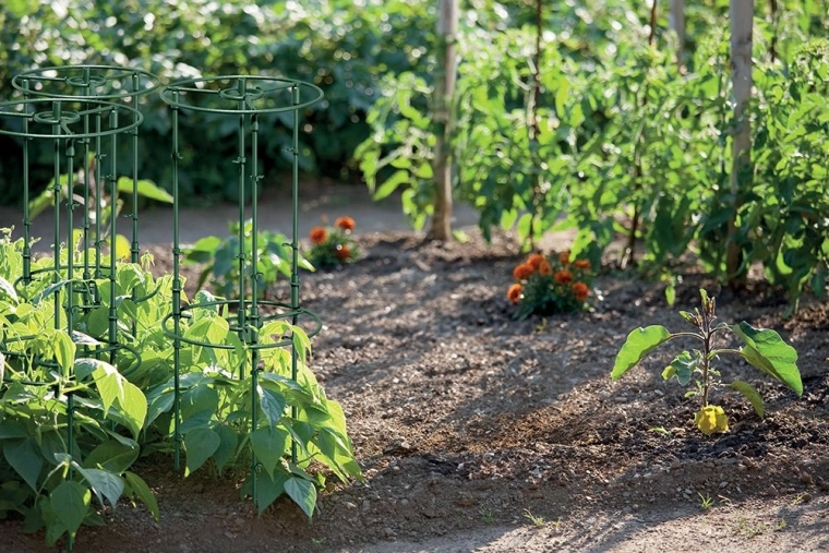 Trwała i dyskretna na rabacie