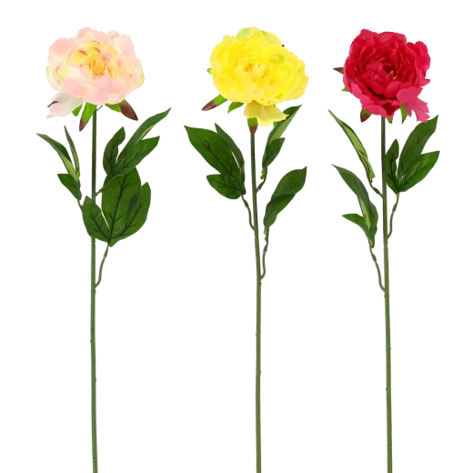 Realistyczne piękno bez pielęgnacji