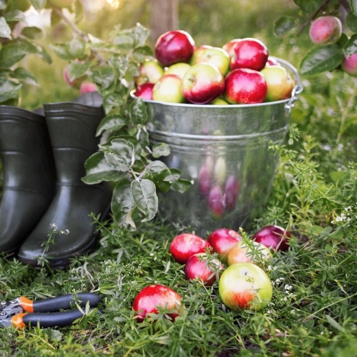 Szerokie zastosowanie w domu i ogrodzie