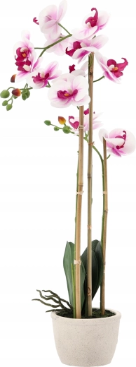 Idealna wysokość 70 cm