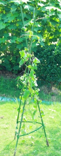 Stabilność i przestrzeń do wzrostu