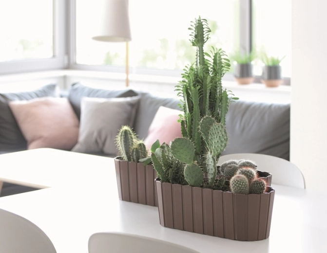 Stylowy wygląd drewnianych listew