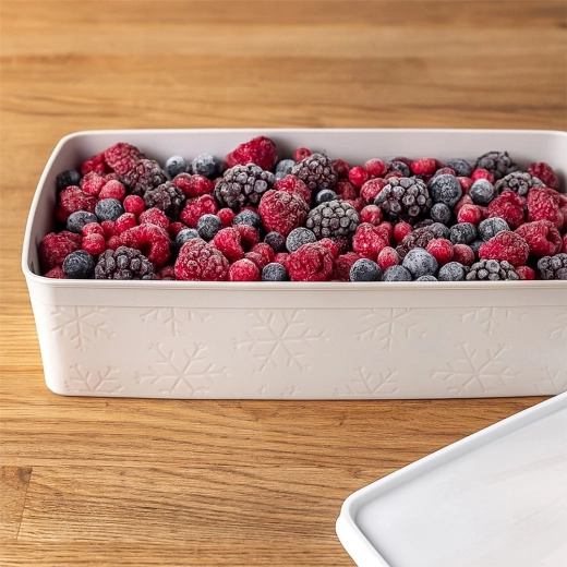 Bezpieczne mrożenie i organizacja